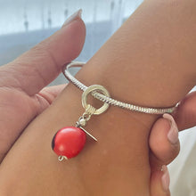 Load image into Gallery viewer, Huayruro Charms