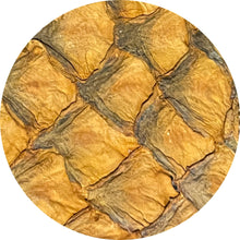 Load image into Gallery viewer, Genuine Araipaima Fish Leather Round Placemats