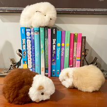 Load image into Gallery viewer, Guinea Pig Stuffed Animal