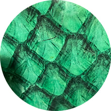 Load image into Gallery viewer, Genuine Araipaima Fish Leather Round Placemats