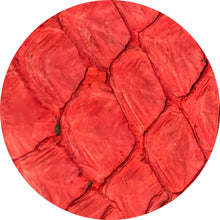 Load image into Gallery viewer, Genuine Araipaima Fish Leather Round Placemats