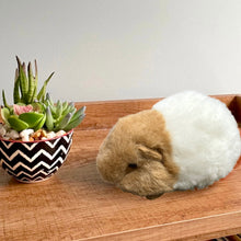 Load image into Gallery viewer, Guinea Pig Stuffed Animal
