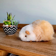 Load image into Gallery viewer, Guinea Pig Stuffed Animal
